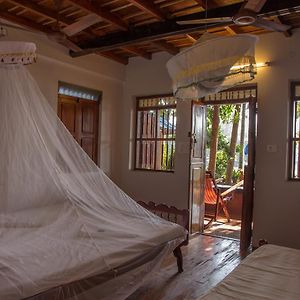 Lower Floor Wooden Room